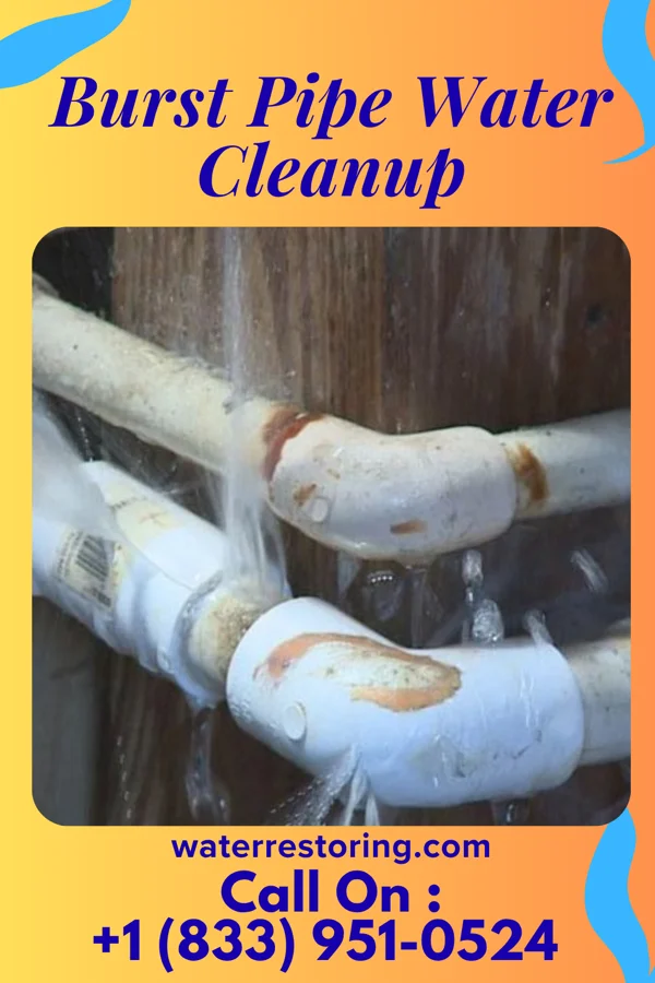 Burst Pipe Water Cleanup in Hastings, OK